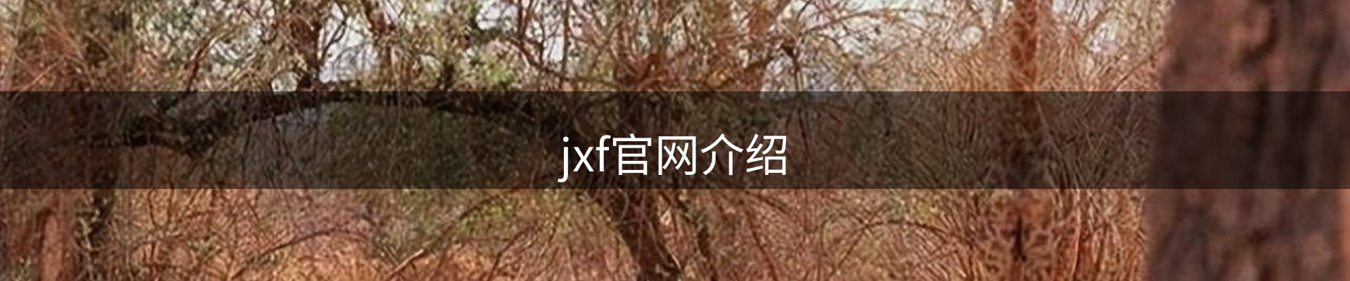 内页banner